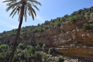 Paradise Valley d'Agadir - Photo 3