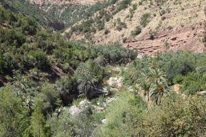 Paradise Valley d'Agadir - Photo 6