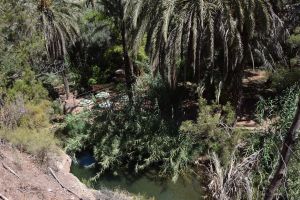 Paradise Valley d'Agadir - Photo 9