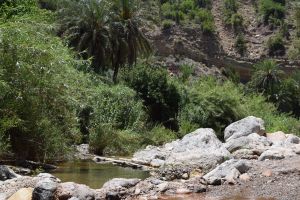 Paradise Valley d'Agadir - Photo 11