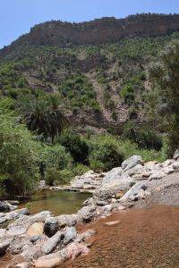 Paradise Valley d'Agadir - Photo 14