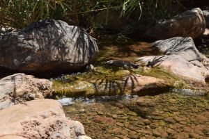 Paradise Valley d'Agadir - Photo 15