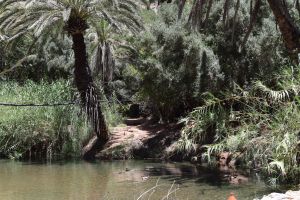 Paradise Valley d'Agadir - Photo 17