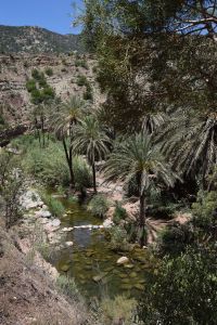 Paradise Valley d'Agadir - Photo 20