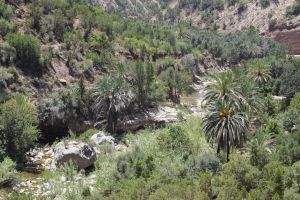 Paradise Valley d'Agadir - Photo 26