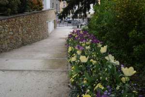 Parc de la Maison Blanche de Clamart - Photo 2