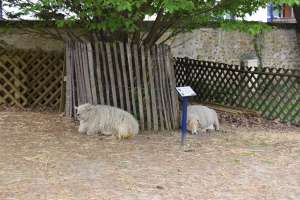 Parc de la Maison Blanche de Clamart - Photo 13