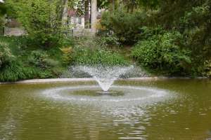 Parc de la Maison Blanche de Clamart - Photo 22