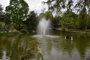 Parc de la Maison Blanche de Clamart - Photo 32