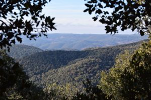 Parc National d'Ifrane - Photo 0