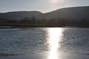 Parc National d'Ifrane - Fès-Meknès