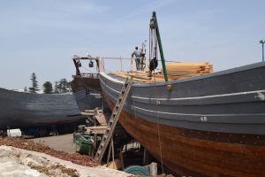 Essaouira - Port - Photo 0