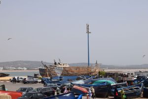 Essaouira - Port - Photo 6