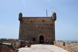 Essaouira - Port - Photo 17