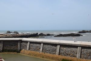 Essaouira - Port - Photo 18