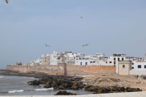 Essaouira - Port - Photo 19