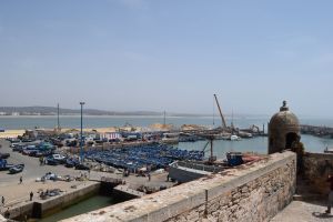 Essaouira - Port - Photo 31