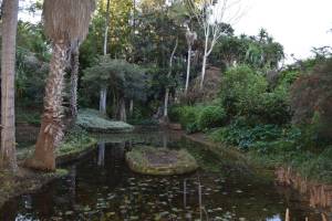 Les Jardins Exotiques de Bouknadel - Photo 3