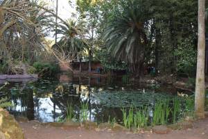 Les Jardins Exotiques de Bouknadel - Photo 5