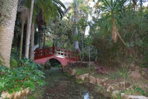 Les Jardins Exotiques de Bouknadel - Photo 7