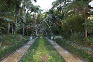 Les Jardins Exotiques de Bouknadel - Photo 8