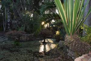 Les Jardins Exotiques de Bouknadel - Photo 10