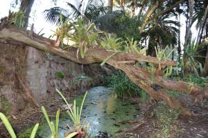 Les Jardins Exotiques de Bouknadel - Photo 13