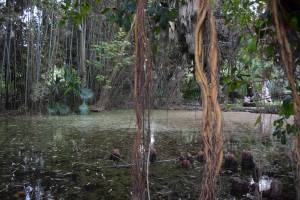 Les Jardins Exotiques de Bouknadel - Photo 16