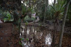 Les Jardins Exotiques de Bouknadel - Photo 17