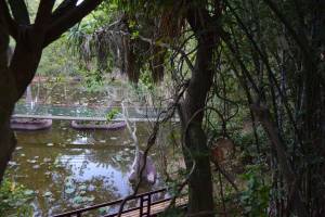 Les Jardins Exotiques de Bouknadel - Photo 19