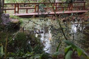 Les Jardins Exotiques de Bouknadel - Photo 20