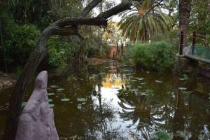 Les Jardins Exotiques de Bouknadel - Photo 21