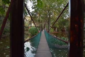 Les Jardins Exotiques de Bouknadel - Photo 22