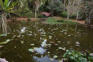 Les Jardins Exotiques de Bouknadel - Photo 23