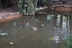 Les Jardins Exotiques de Bouknadel - Photo 25