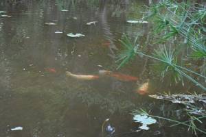 Les Jardins Exotiques de Bouknadel - Photo 26