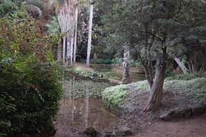 Les Jardins Exotiques de Bouknadel - Photo 29