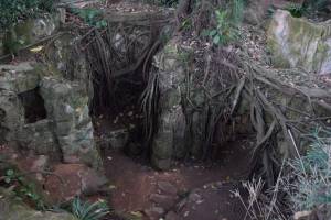 Les Jardins Exotiques de Bouknadel - Photo 30