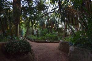 Les Jardins Exotiques de Bouknadel - Photo 32