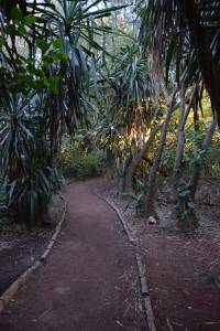 Les Jardins Exotiques de Bouknadel - Photo 34