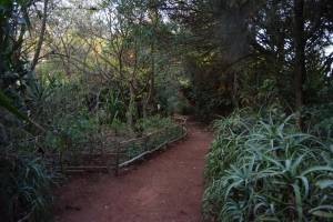 Les Jardins Exotiques de Bouknadel - Photo 37