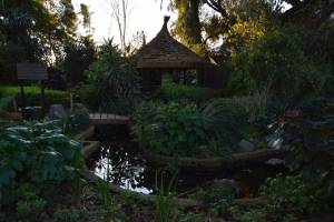 Les Jardins Exotiques de Bouknadel - Photo 38