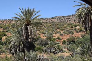 Entre Ait Baha et Tizourgane - Souss-Massa 