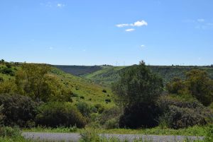 Route Sidi Bettache - Photo 0