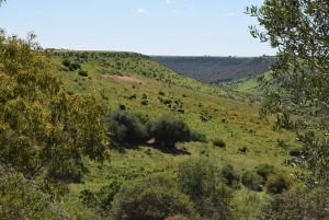 Route Sidi Bettache - Photo 1