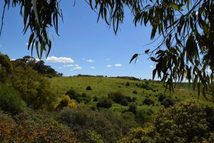 Route Sidi Bettache - Photo 4