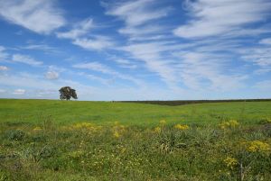 Route Sidi Bettache - Photo 11