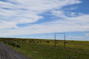 Route Sidi Bettache - Photo 14