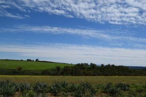 Route Sidi Bettache - Photo 17