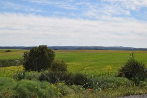 Route Sidi Bettache - Photo 21